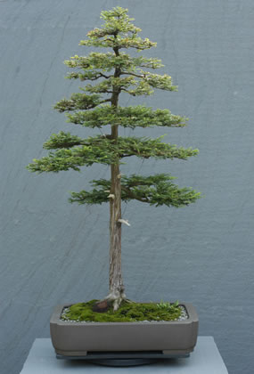 248_200306_fs.jpg