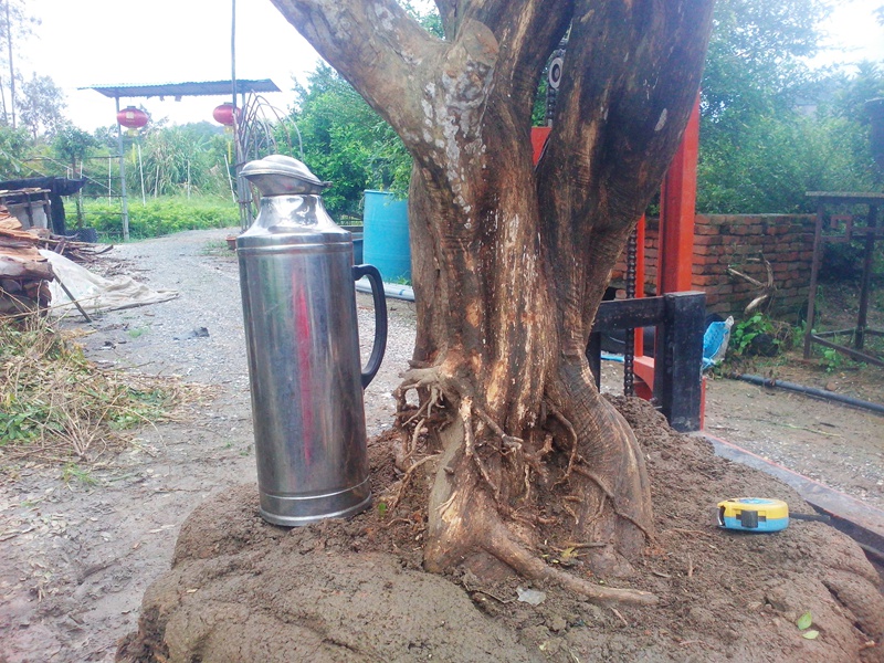 IMG20140822003.jpg