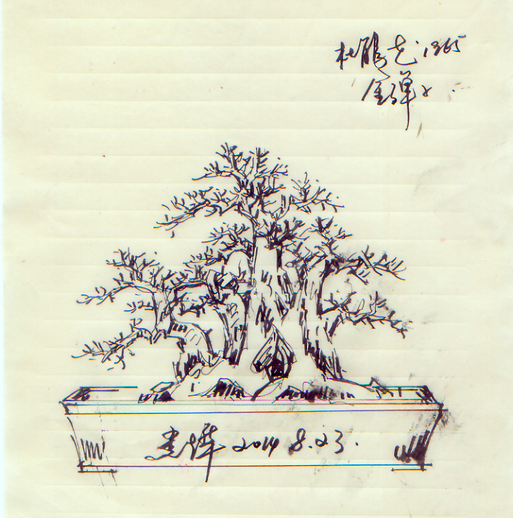 ž黨1965.jpg