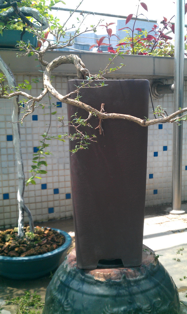 IMAG0164.jpg