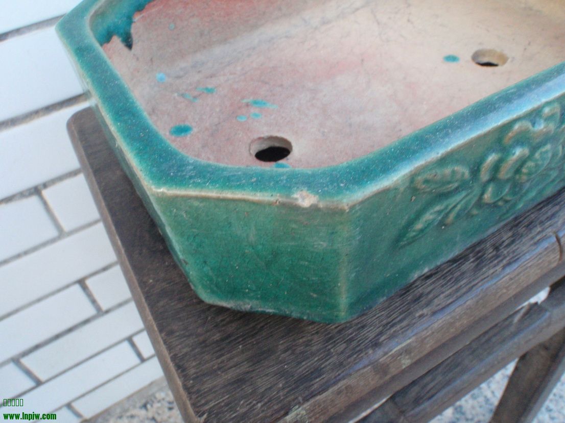 P8250099_С.JPG