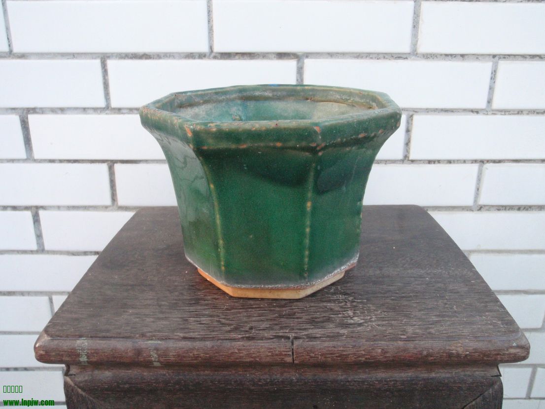 P8250105_С.JPG