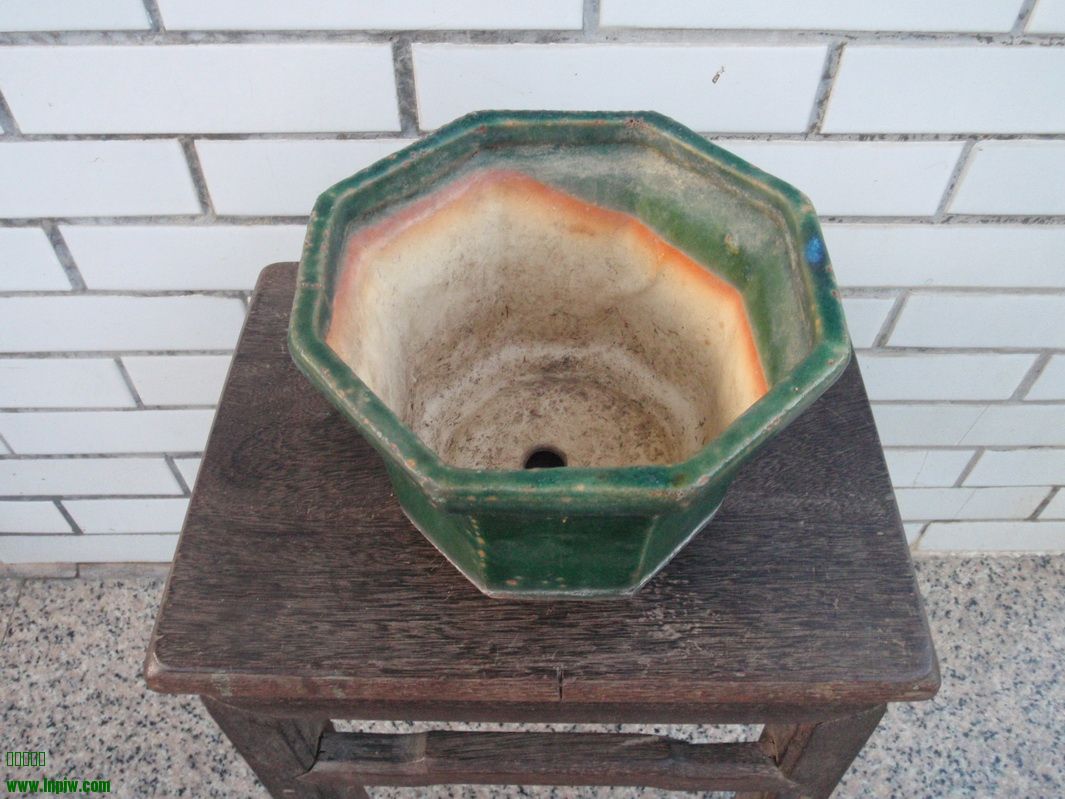 P8250106_С.JPG