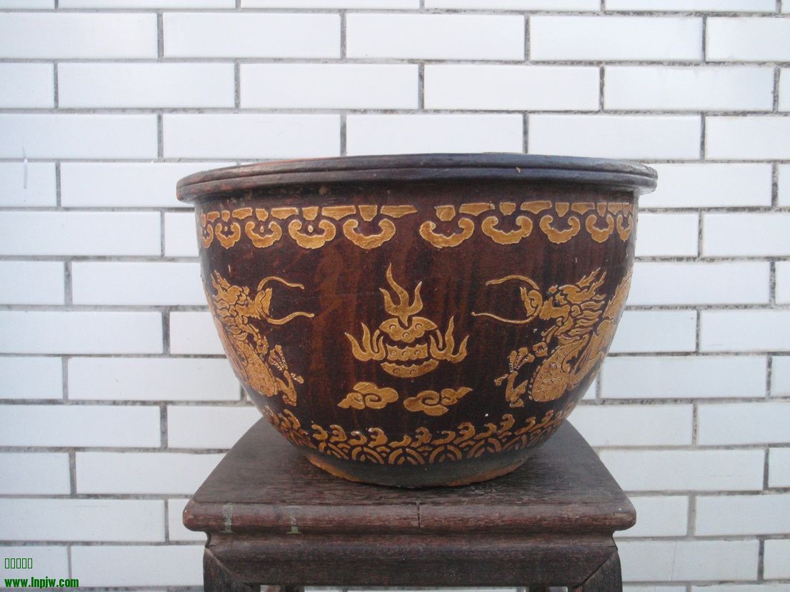 P8250108_С.JPG