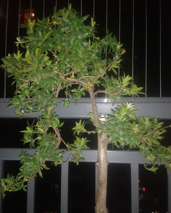 2014-08-26 21.29.32_.jpg