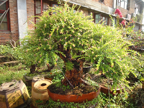 DSC02926.jpg