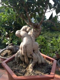 psb (16).jpg
