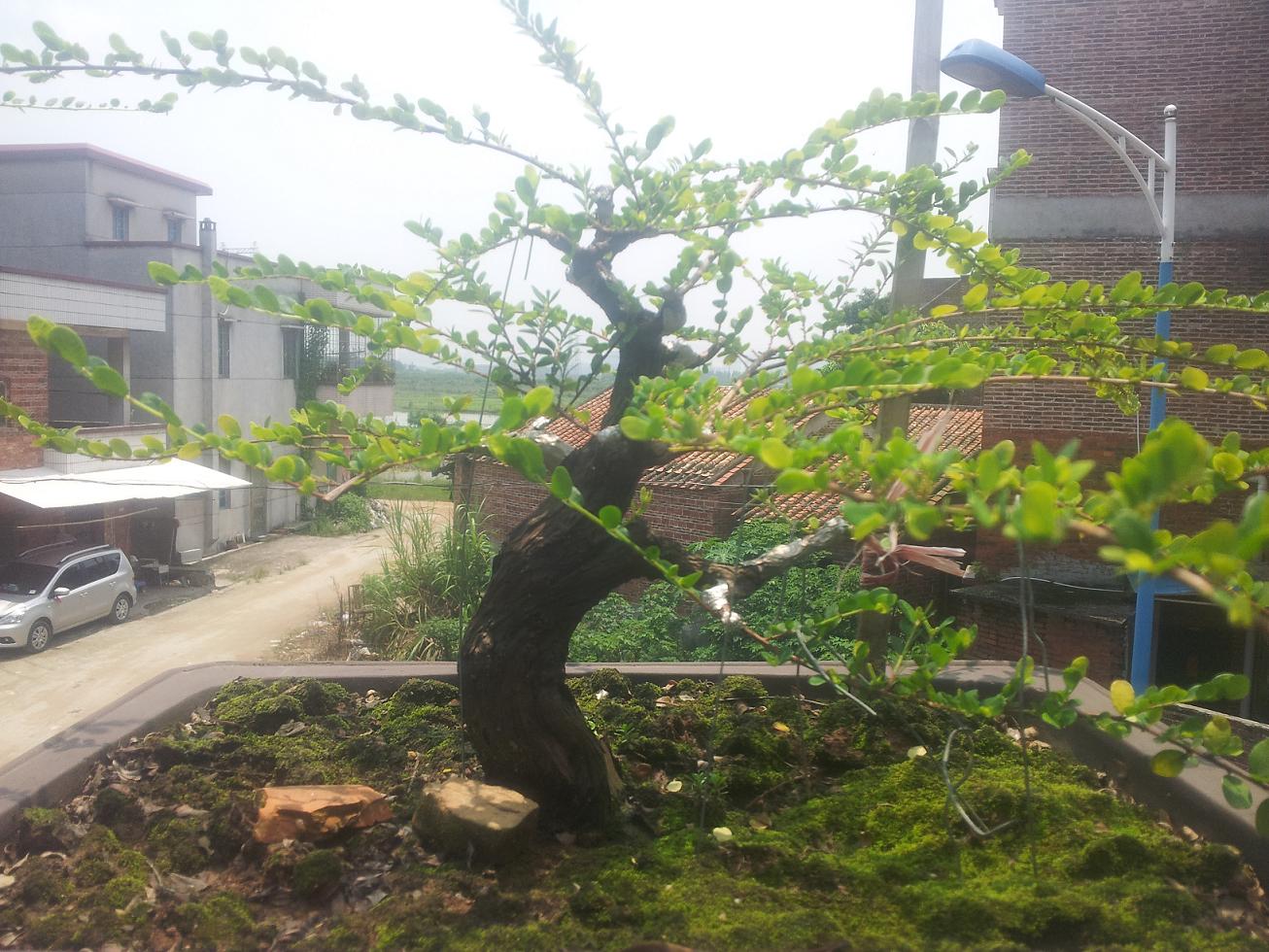 20140822_122554.jpg