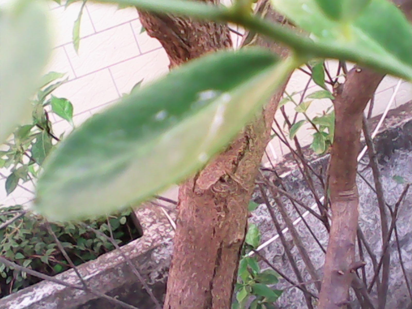 IMG_20140830_175501.jpg