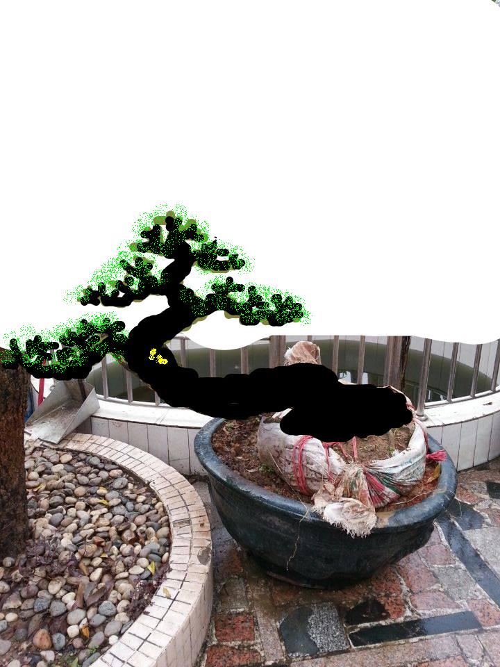 101052ddeyek9ey2kyokk9.jpg.jpg