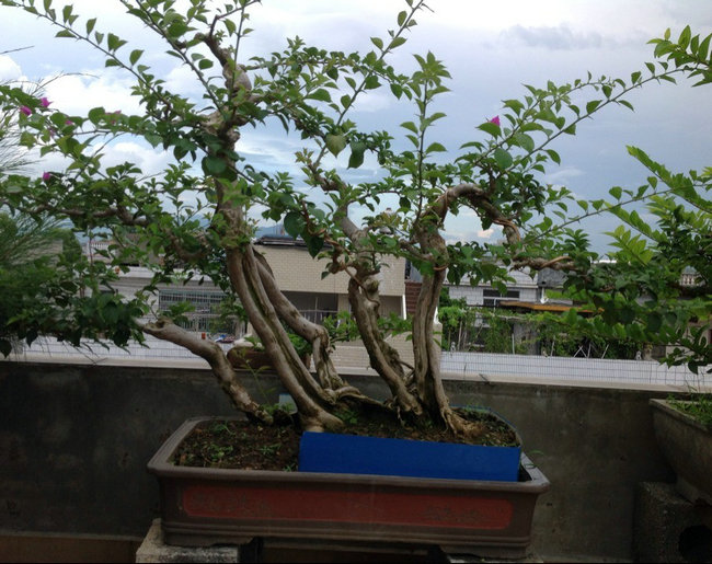 QQͼƬ20140901162029.jpg