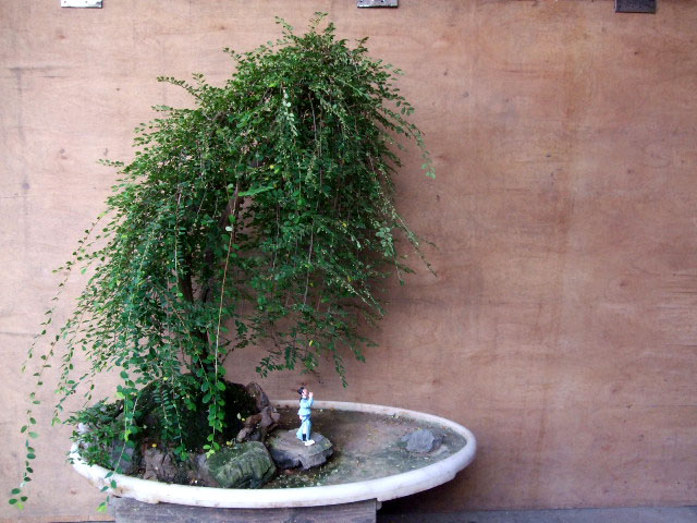 DSCF0194.JPG