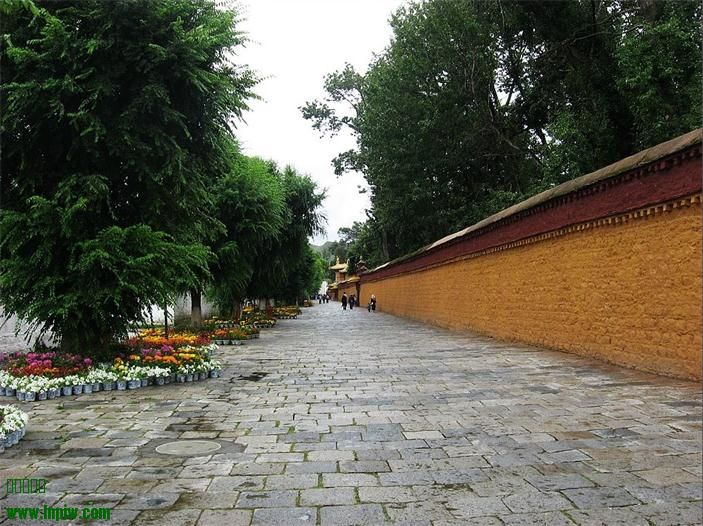19.jpg