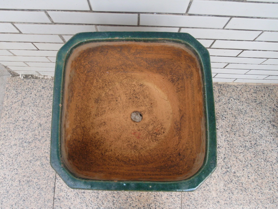 P9050160_С.JPG