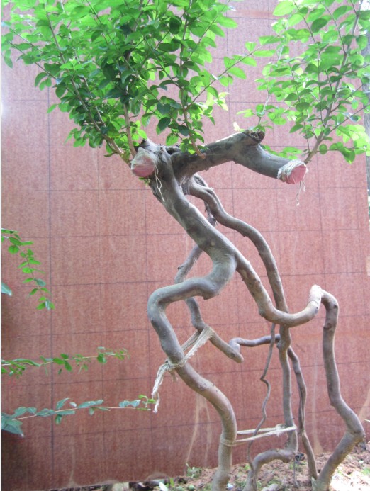 QQͼƬ20140907104526.jpg