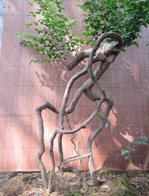 QQͼƬ20140907104505.jpg
