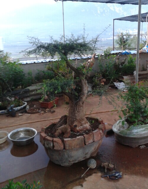QQͼƬ20140907103433.jpg