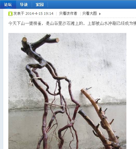 QQͼƬ20140907105227.jpg