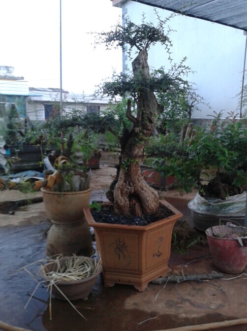 QQͼƬ20140907103346.jpg