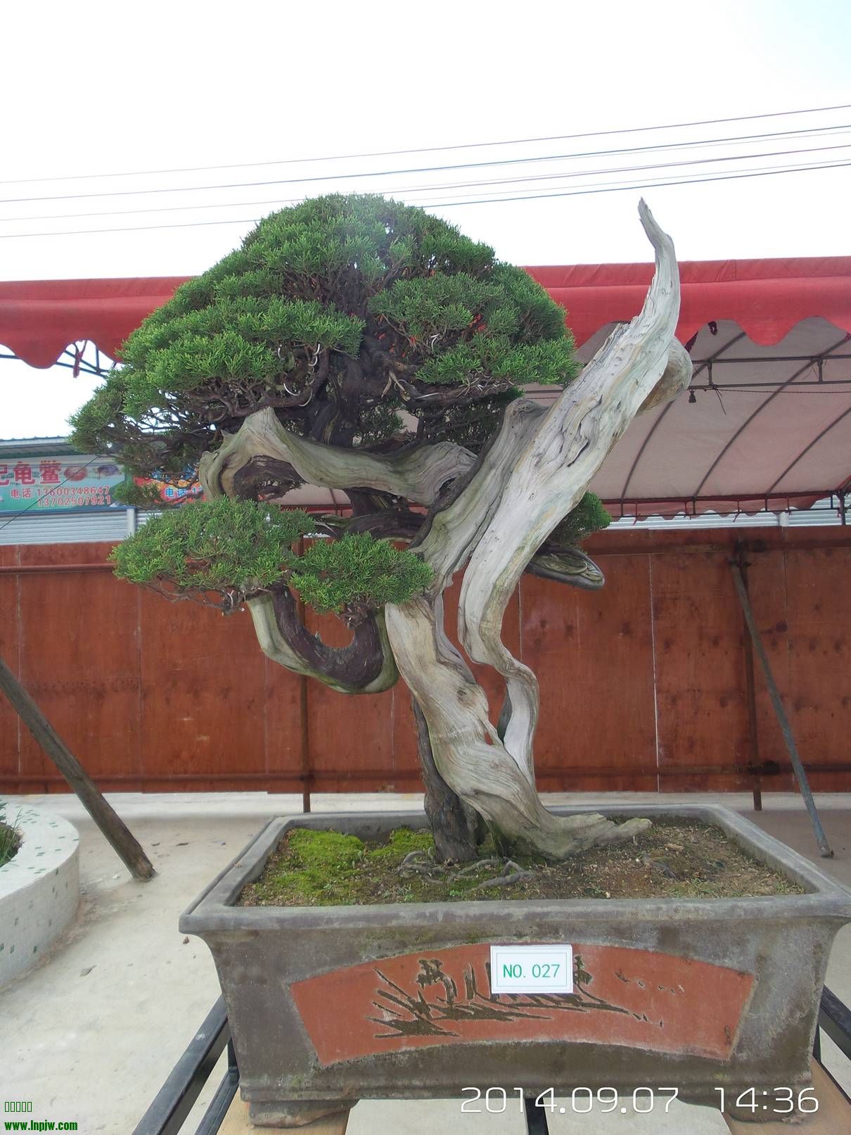 20140907_143623.jpg