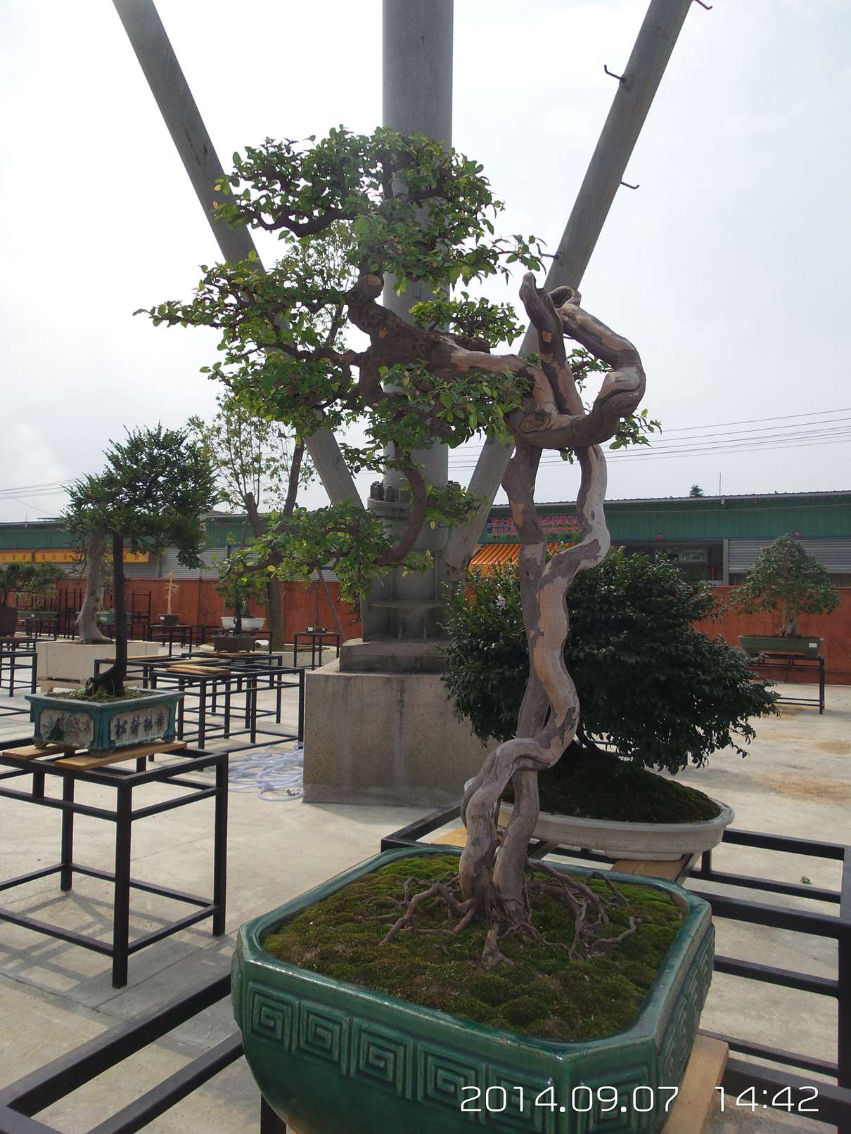 20140907_144216.jpg