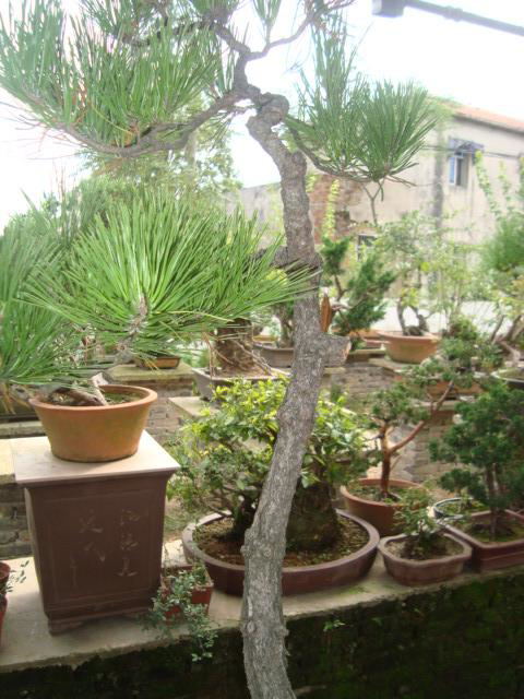 DSC00793_ͼ.jpg