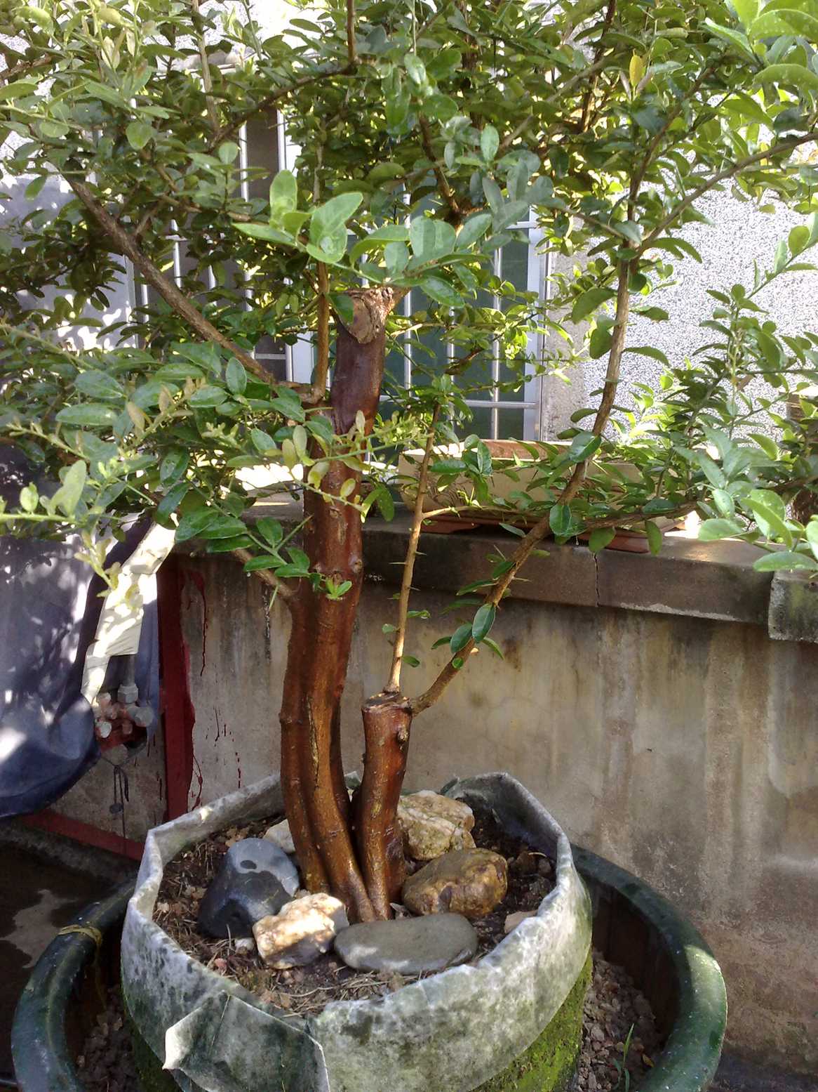 201407051142.jpg