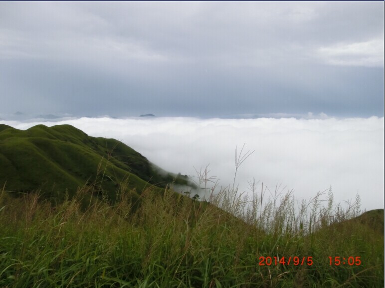 04.jpg
