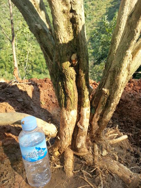 20140910_100056_011.jpg