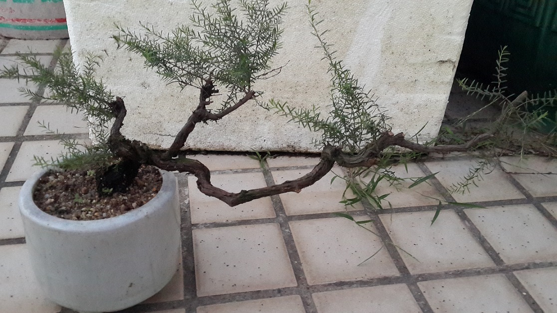 20140909_184615.jpg