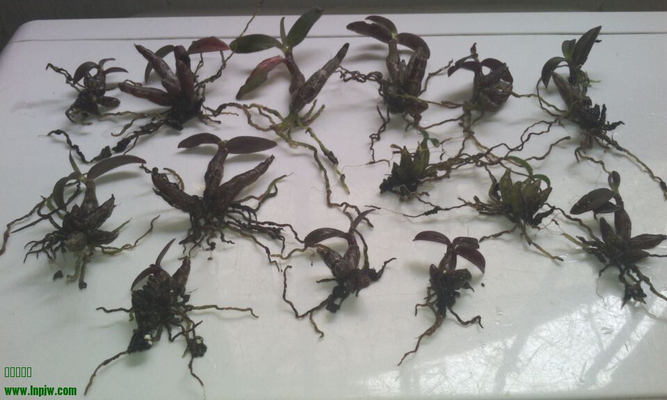 QQͼƬ20140910233426.jpg