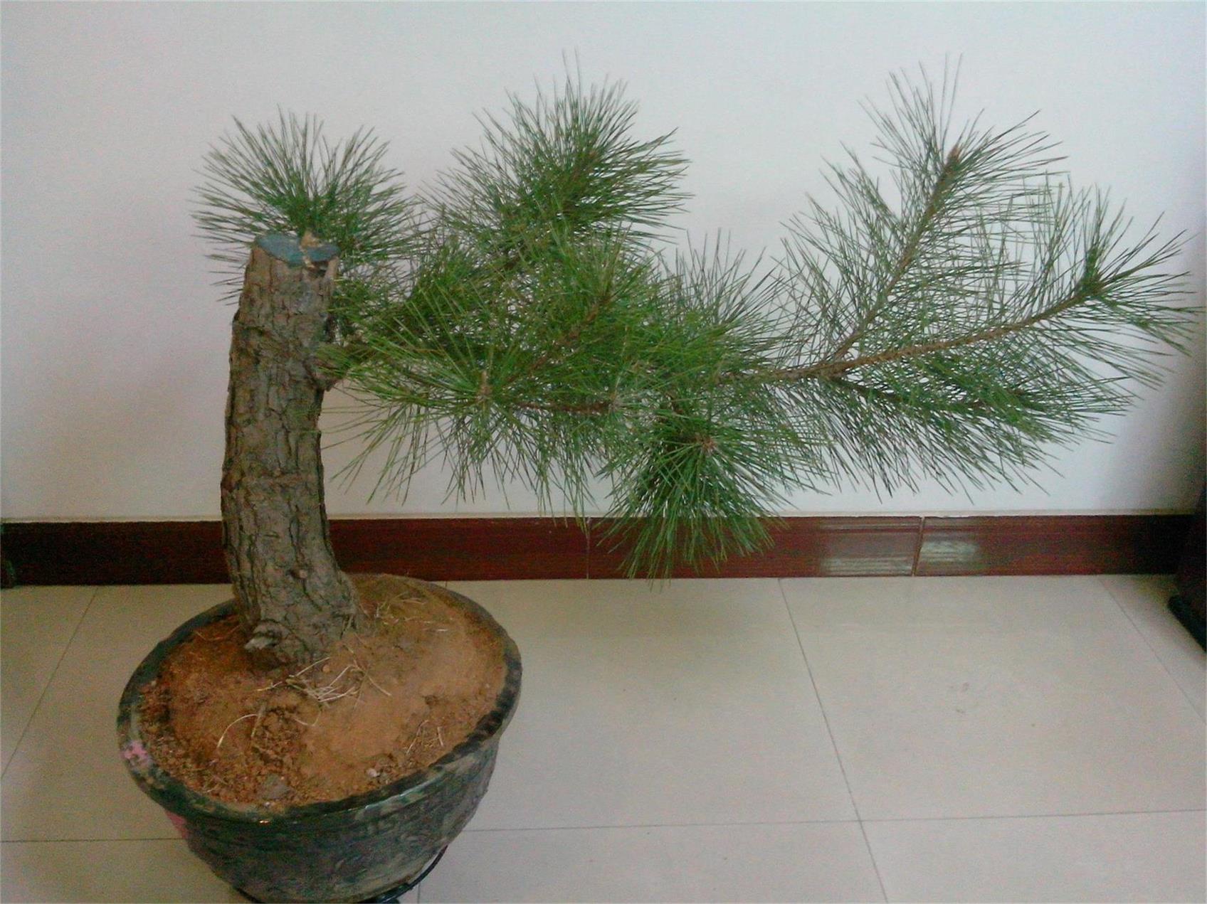 IMG20140103002.jpg