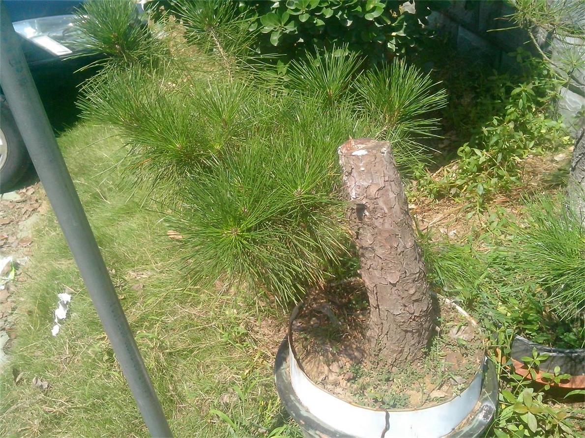 IMG20140904006.jpg