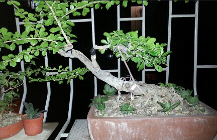 QQͼƬ20140913.jpg