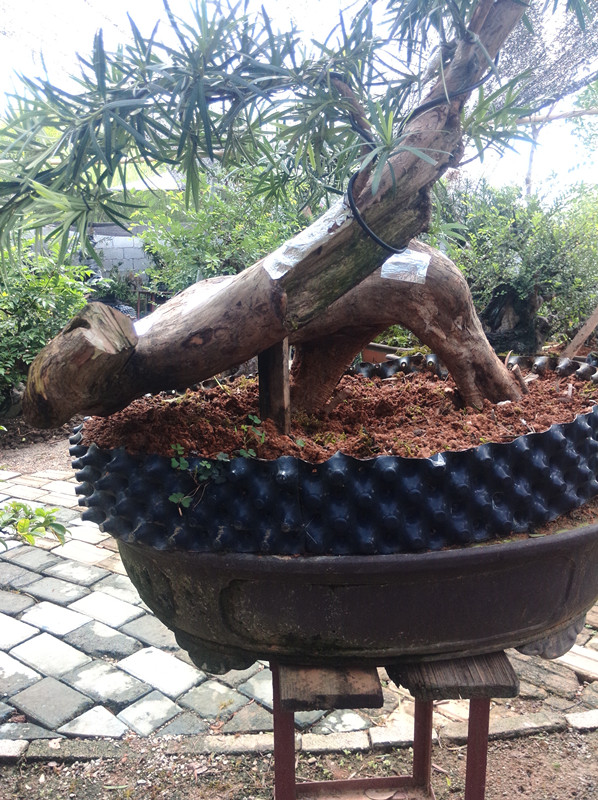 IMG20140914100648_.jpg