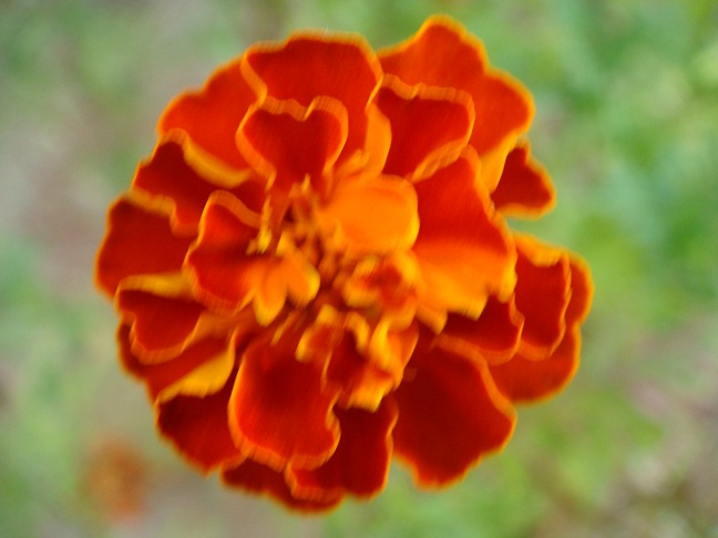 19.jpg
