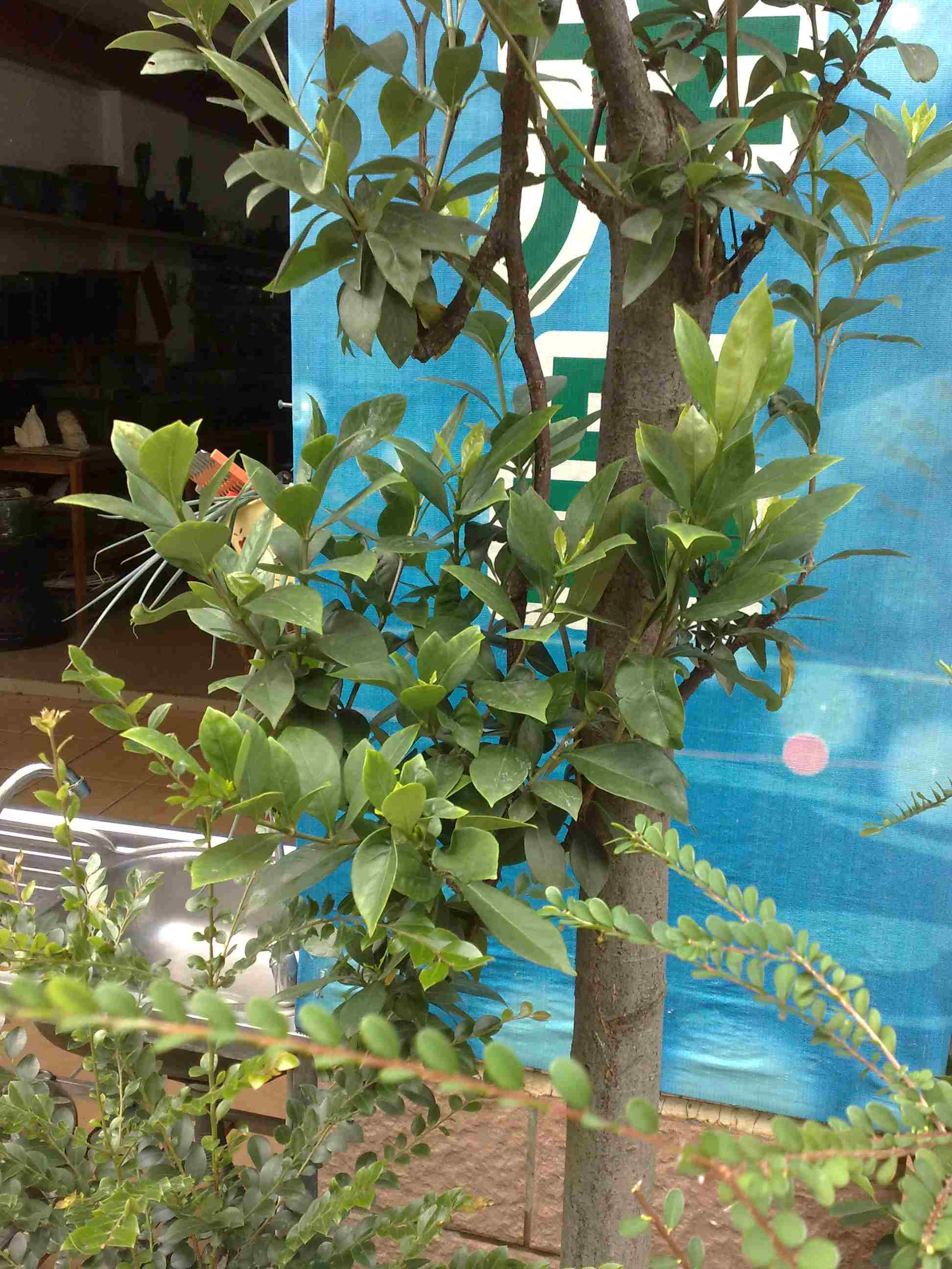 201409161283.jpg