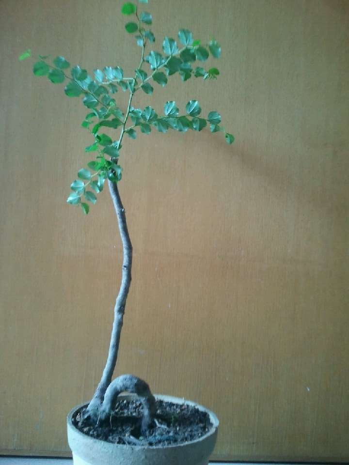 QQͼƬ20140916194805.jpg