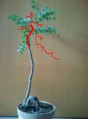 QQͼƬ20140917214831.jpg