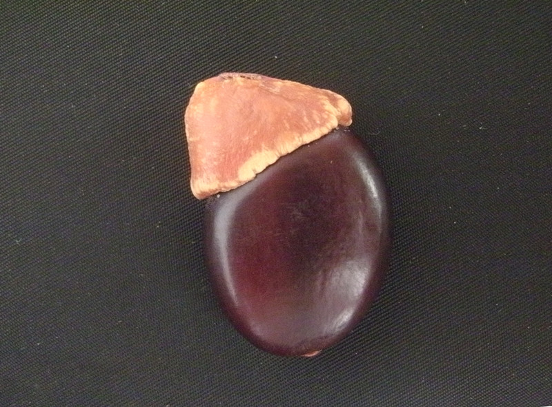 GEDC0355_.jpg