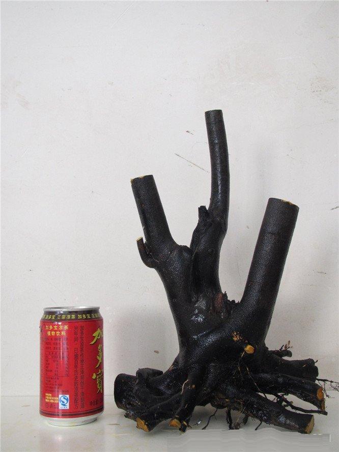 ѻ1.jpg