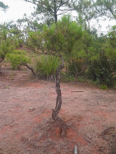 20140607_130624.jpg