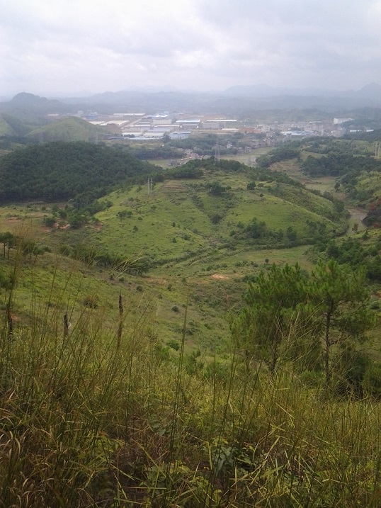 20140811_111227.jpg