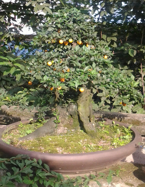 20140922_170529_mh1411377016727.jpg