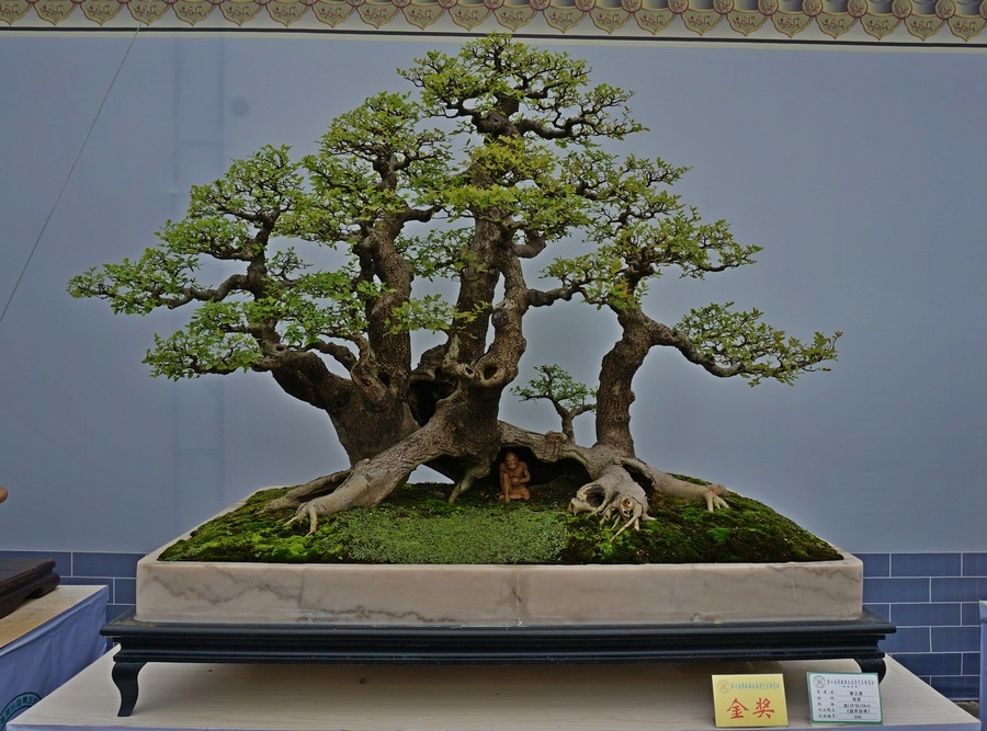 DSC04131_cr.jpg