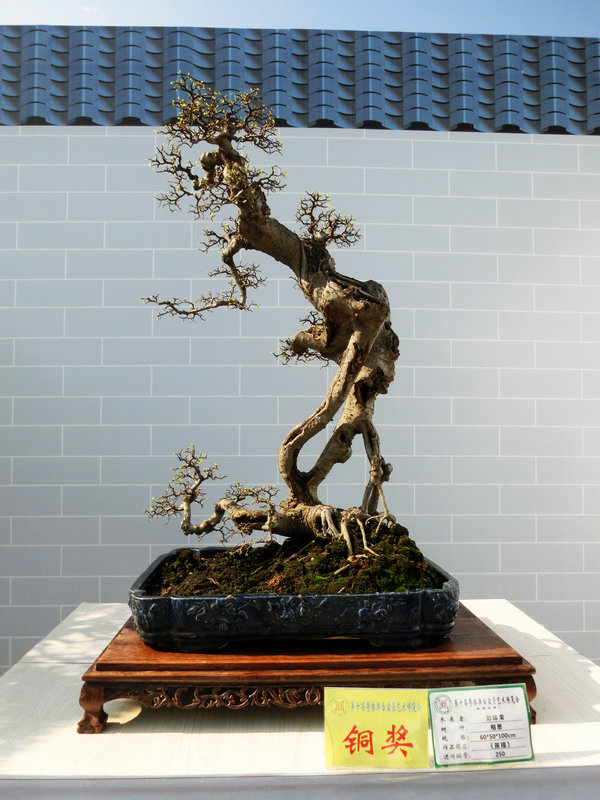 105.JPG