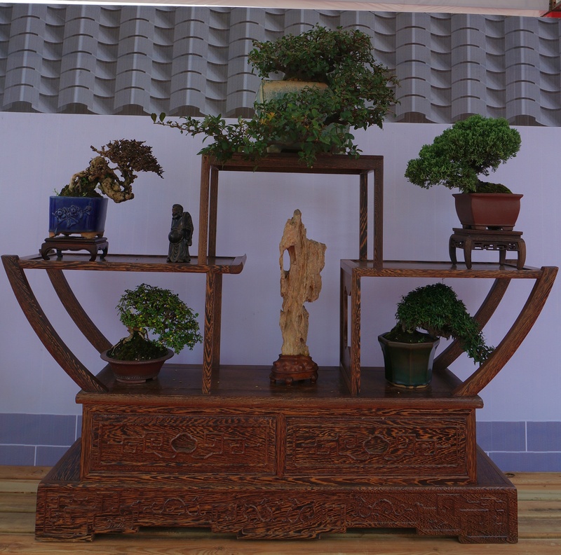 DSC03777_cr.jpg