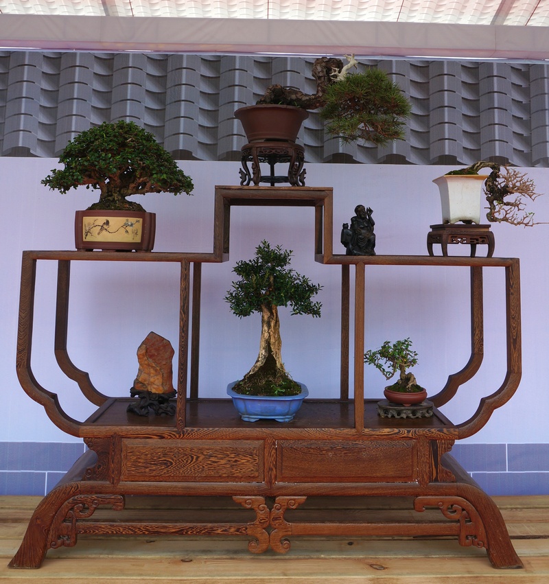 DSC03783_cr.jpg