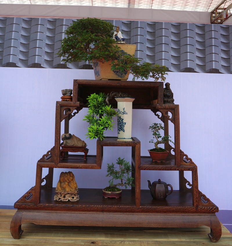 DSC03788_cr.jpg