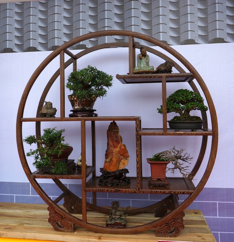 DSC03796_cr.jpg